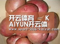 产品展示标题1